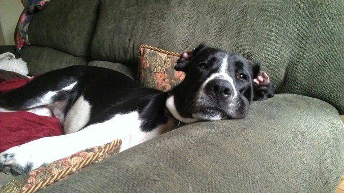 469268_3381337577819_1891945710_o