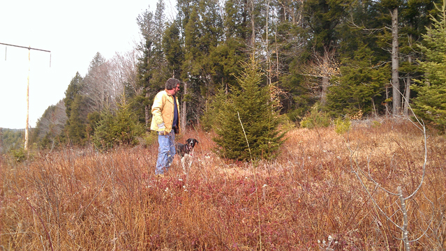 Getting the Tree (4)