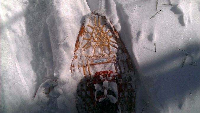130210 Snowshoe