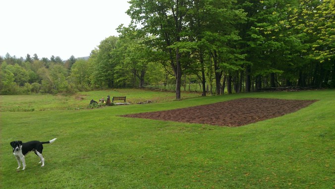 130519 Tilled Garden