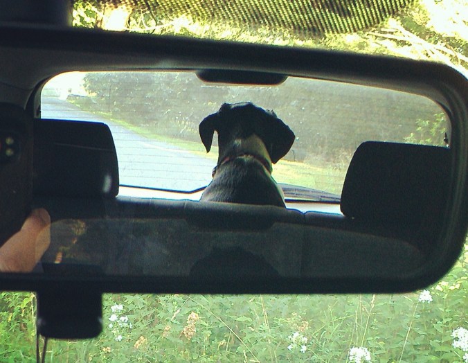 130718 Chester in the Rearview