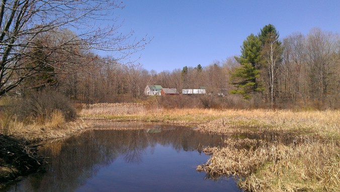 130502 Back Forty Pond