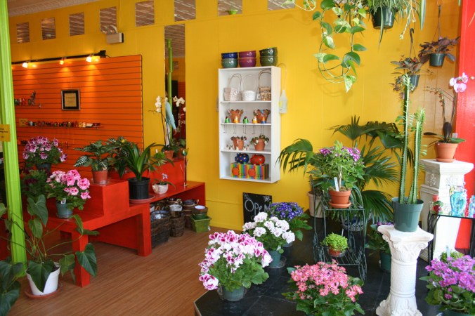 080418 Plants for Pleasure (2)