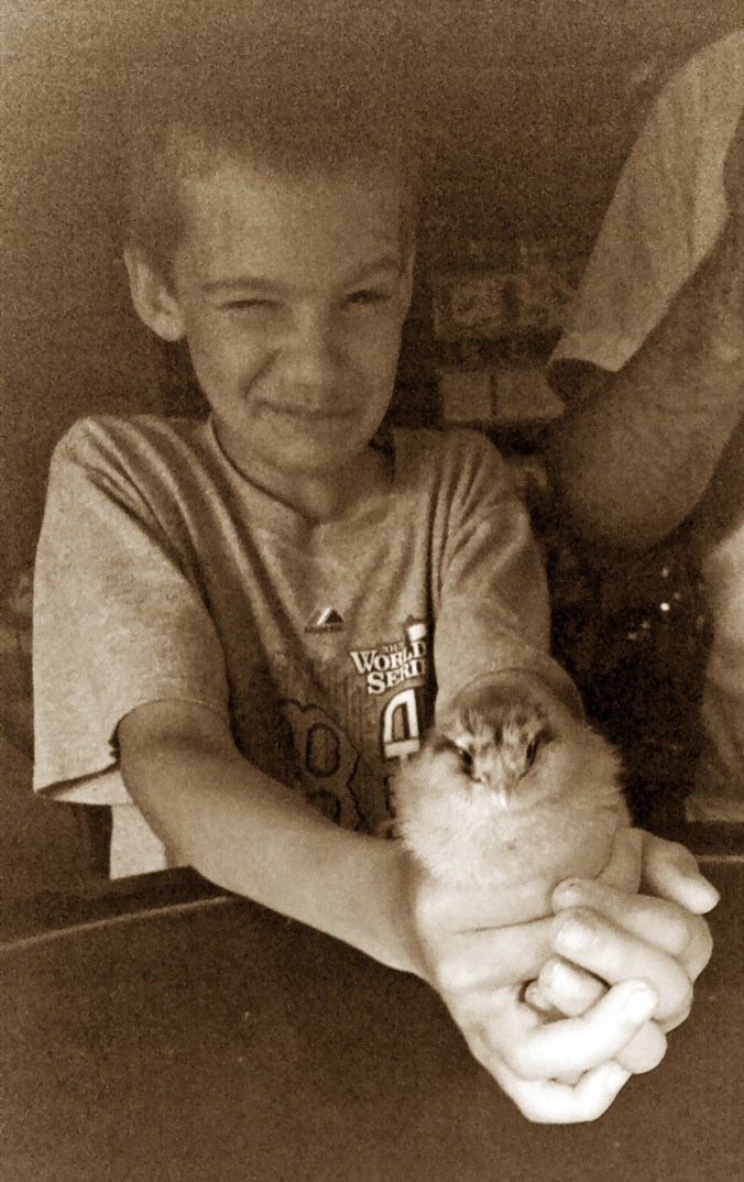 140705 Andy holding chick (2)