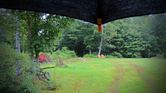 140812 Back Forty Rain