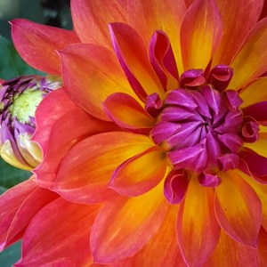 lrm_export_20160916_135108